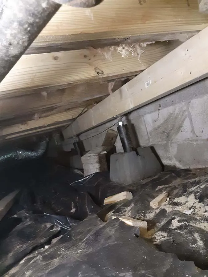 Floor Support System
